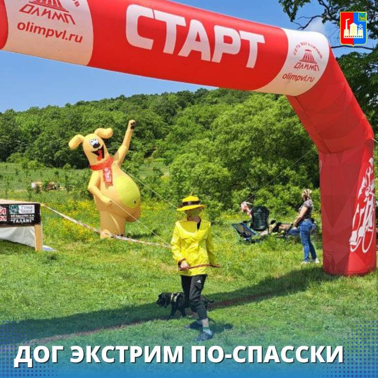 photo 5449797862486561403 y