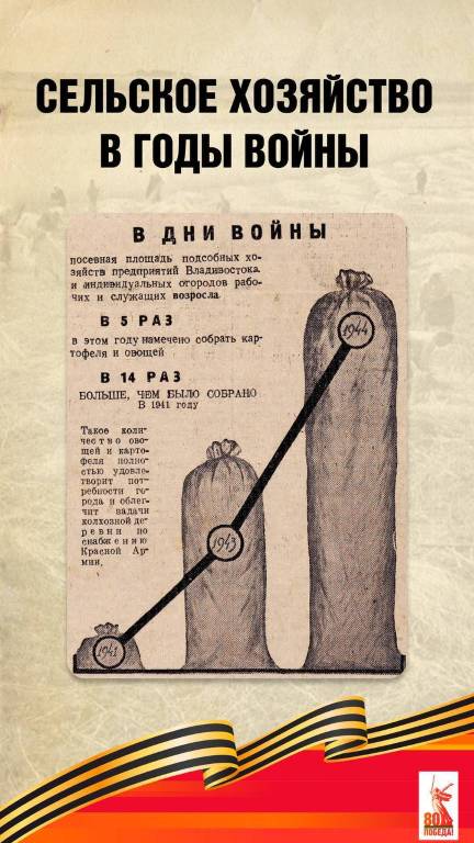 5370702427663235945